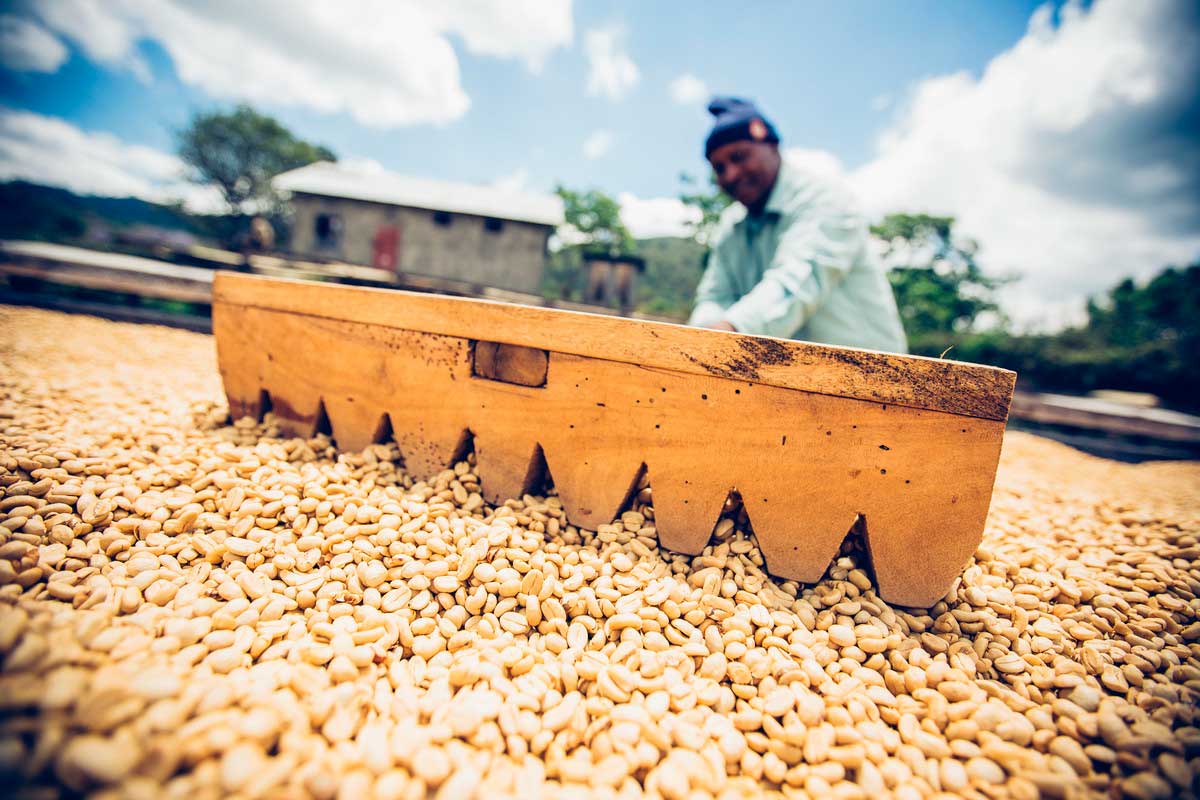 Trockene Aufbereitung
