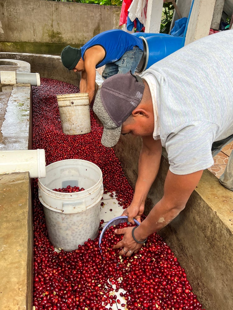 Weihnachts-Specialty  | Filterkaffee | Bohnen | 250g