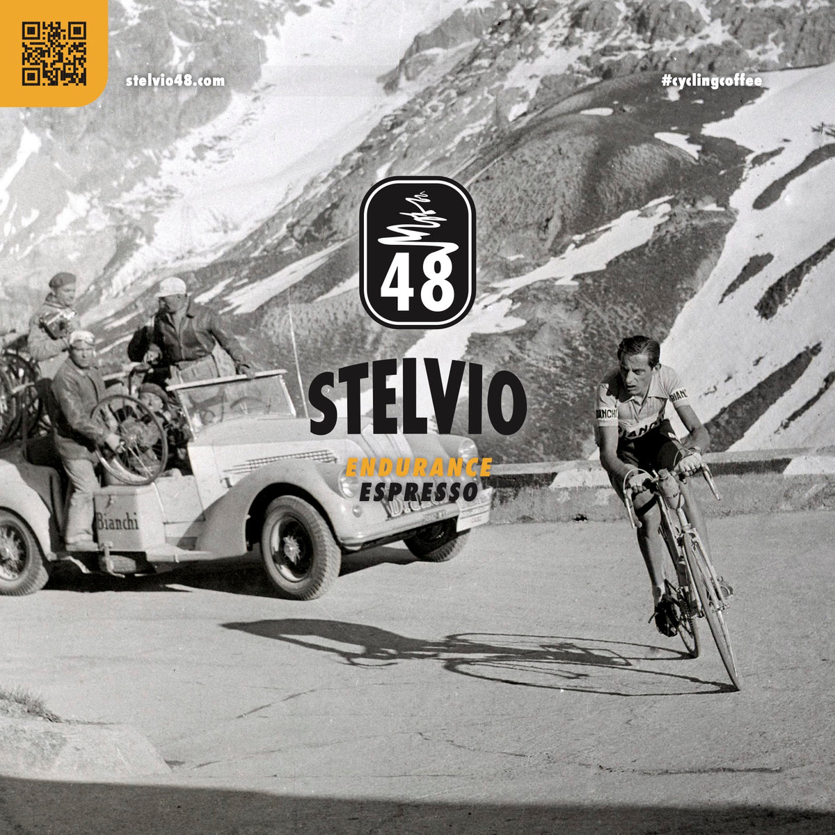 STELVIO | Endurance Espresso | Beans 375g